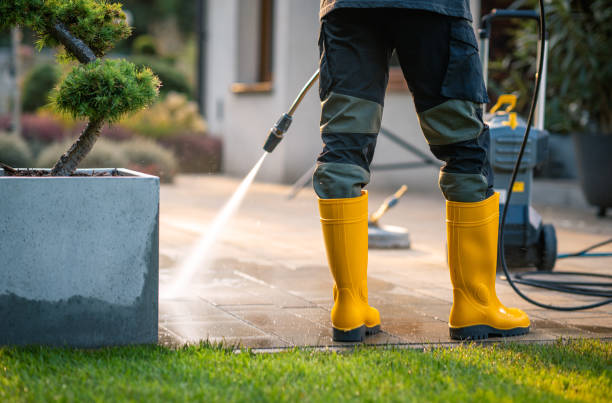 Best Pressure Washing Contractors  in Shinglehouse, PA
